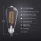 Feit Electric Feit ST19 E26 (Medium) Filament LED Bulb Daylight 40 Watt Equivalence 2 pk ST1940950CATFL2 - alternate 7
